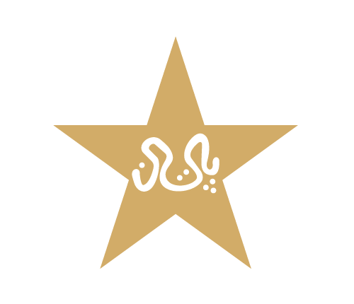 1 PCB logo
